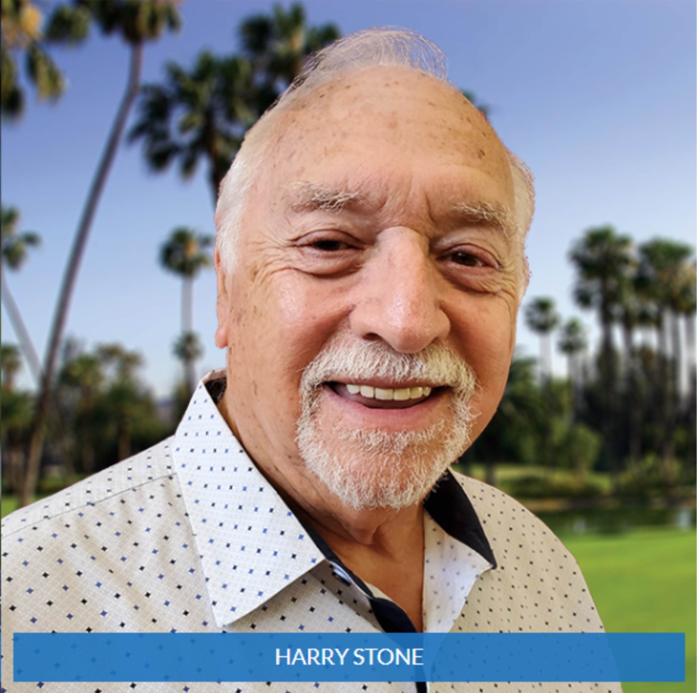 harry stone